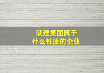 陕建集团属于什么性质的企业