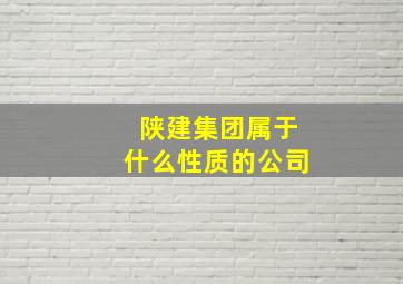 陕建集团属于什么性质的公司