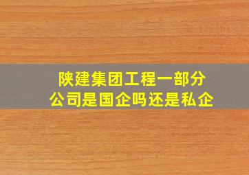 陕建集团工程一部分公司是国企吗还是私企