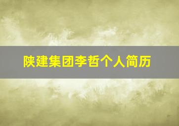 陕建集团李哲个人简历