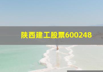 陕西建工股票600248