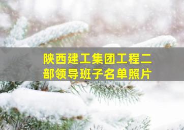 陕西建工集团工程二部领导班子名单照片