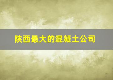 陕西最大的混凝土公司