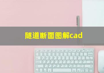 隧道断面图解cad