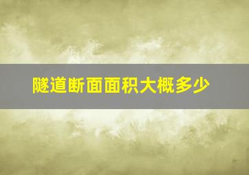 隧道断面面积大概多少