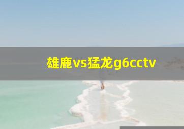 雄鹿vs猛龙g6cctv