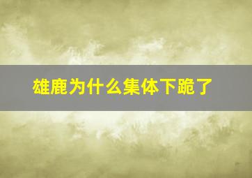 雄鹿为什么集体下跪了