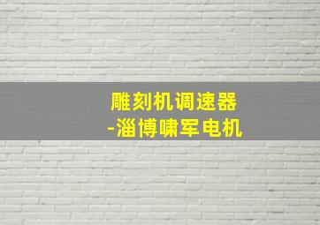 雕刻机调速器-淄博啸军电机