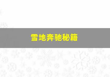 雪地奔驰秘籍