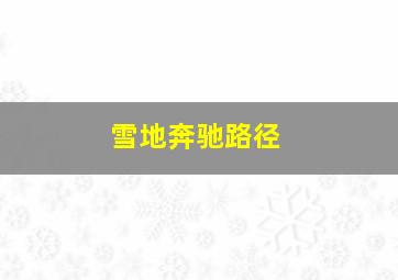 雪地奔驰路径