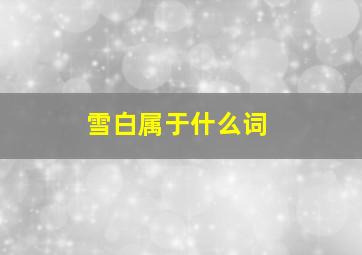 雪白属于什么词