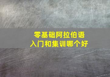 零基础阿拉伯语入门和集训哪个好