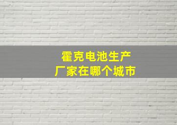 霍克电池生产厂家在哪个城市