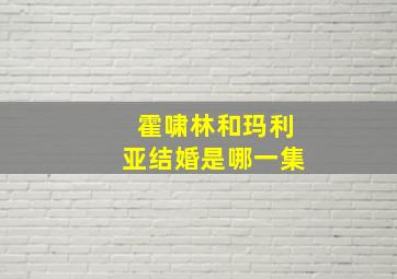 霍啸林和玛利亚结婚是哪一集