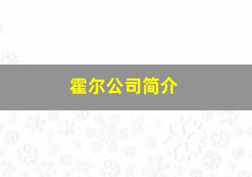 霍尔公司简介