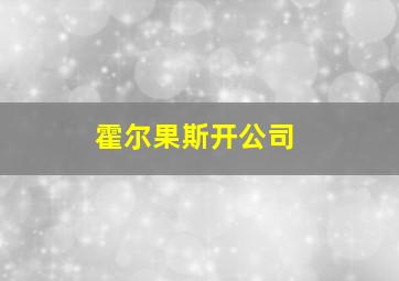 霍尔果斯开公司