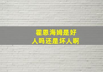 霍恩海姆是好人吗还是坏人啊