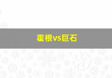 霍根vs巨石