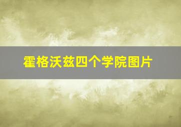 霍格沃兹四个学院图片