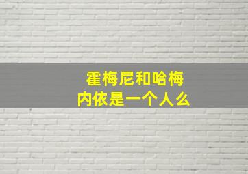 霍梅尼和哈梅内依是一个人么