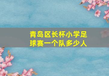 青岛区长杯小学足球赛一个队多少人