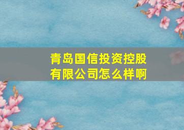 青岛国信投资控股有限公司怎么样啊