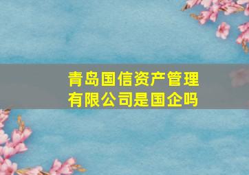 青岛国信资产管理有限公司是国企吗