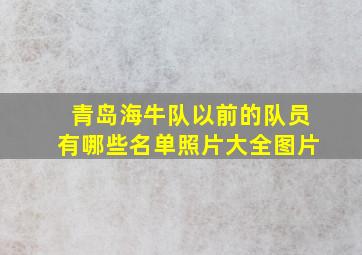 青岛海牛队以前的队员有哪些名单照片大全图片