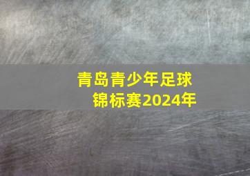 青岛青少年足球锦标赛2024年