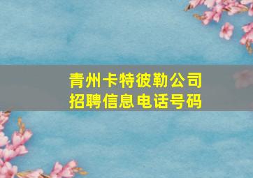 青州卡特彼勒公司招聘信息电话号码