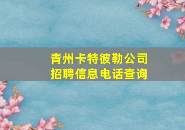 青州卡特彼勒公司招聘信息电话查询