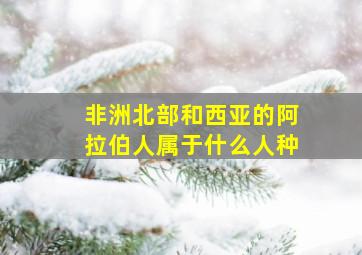 非洲北部和西亚的阿拉伯人属于什么人种