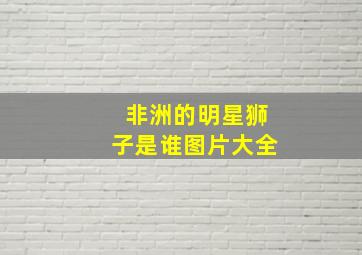 非洲的明星狮子是谁图片大全