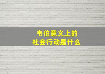 韦伯意义上的社会行动是什么