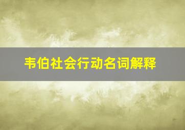 韦伯社会行动名词解释