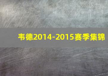 韦德2014-2015赛季集锦