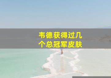 韦德获得过几个总冠军皮肤