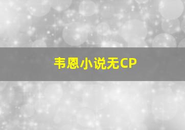 韦恩小说无CP