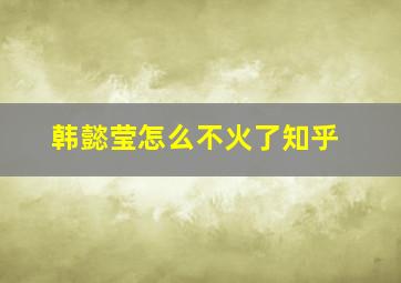 韩懿莹怎么不火了知乎