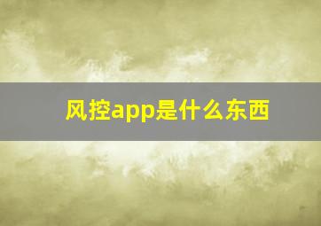 风控app是什么东西