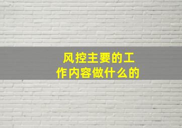 风控主要的工作内容做什么的