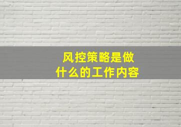 风控策略是做什么的工作内容