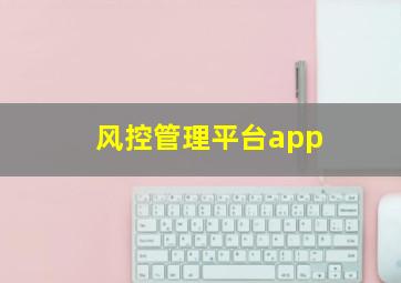 风控管理平台app