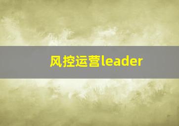 风控运营leader