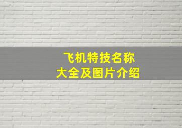 飞机特技名称大全及图片介绍