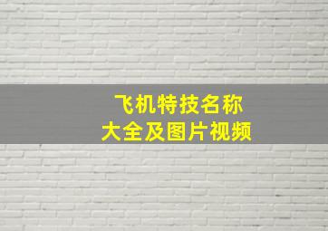 飞机特技名称大全及图片视频