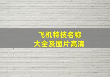 飞机特技名称大全及图片高清