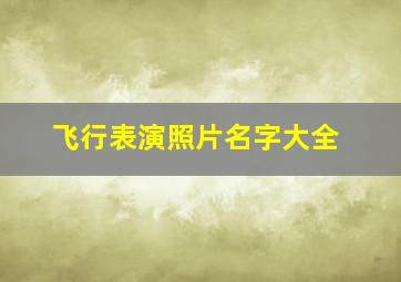 飞行表演照片名字大全