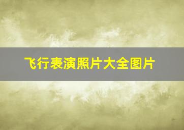 飞行表演照片大全图片