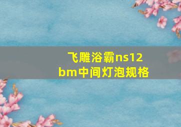 飞雕浴霸ns12bm中间灯泡规格